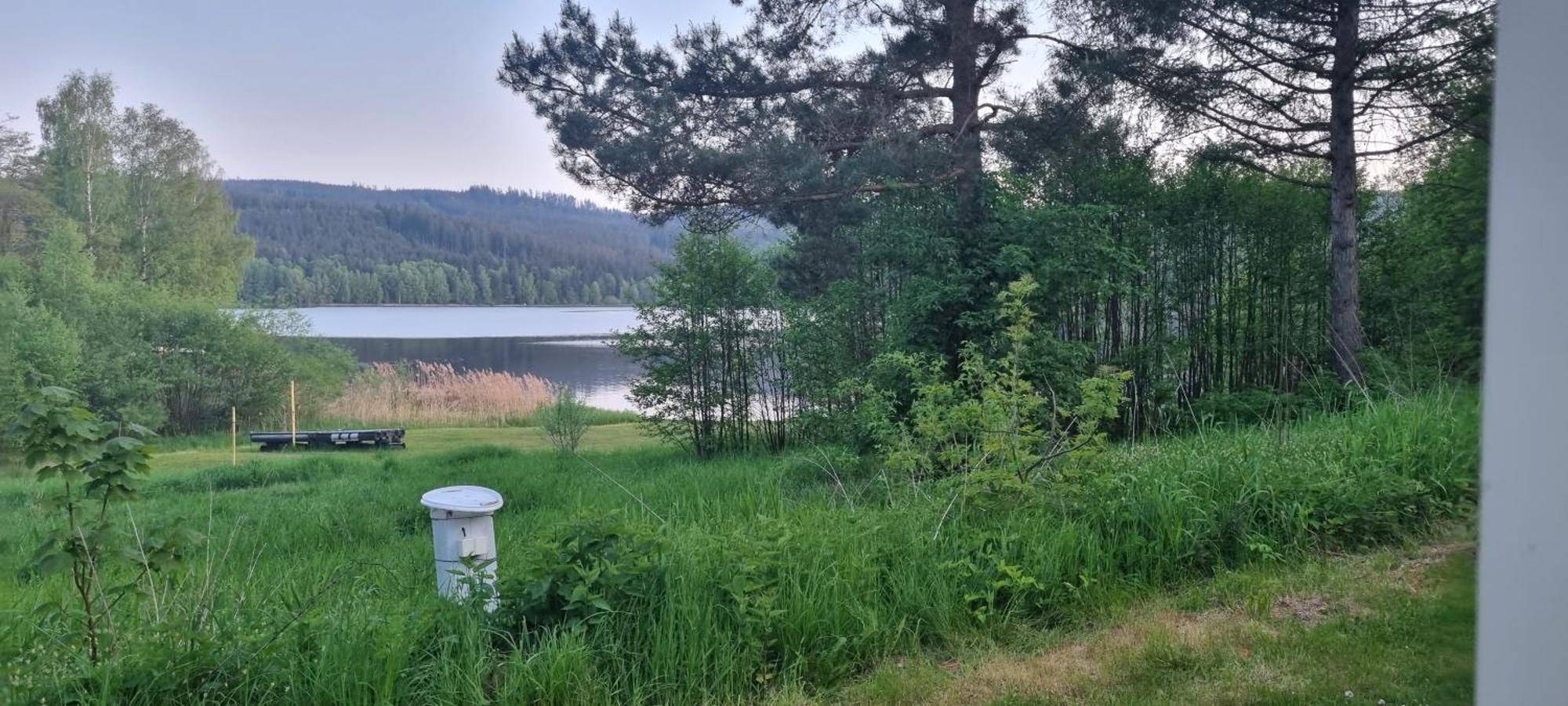 Hotel Penzion Tomy Na Plazi Frymburk Zewnętrze zdjęcie