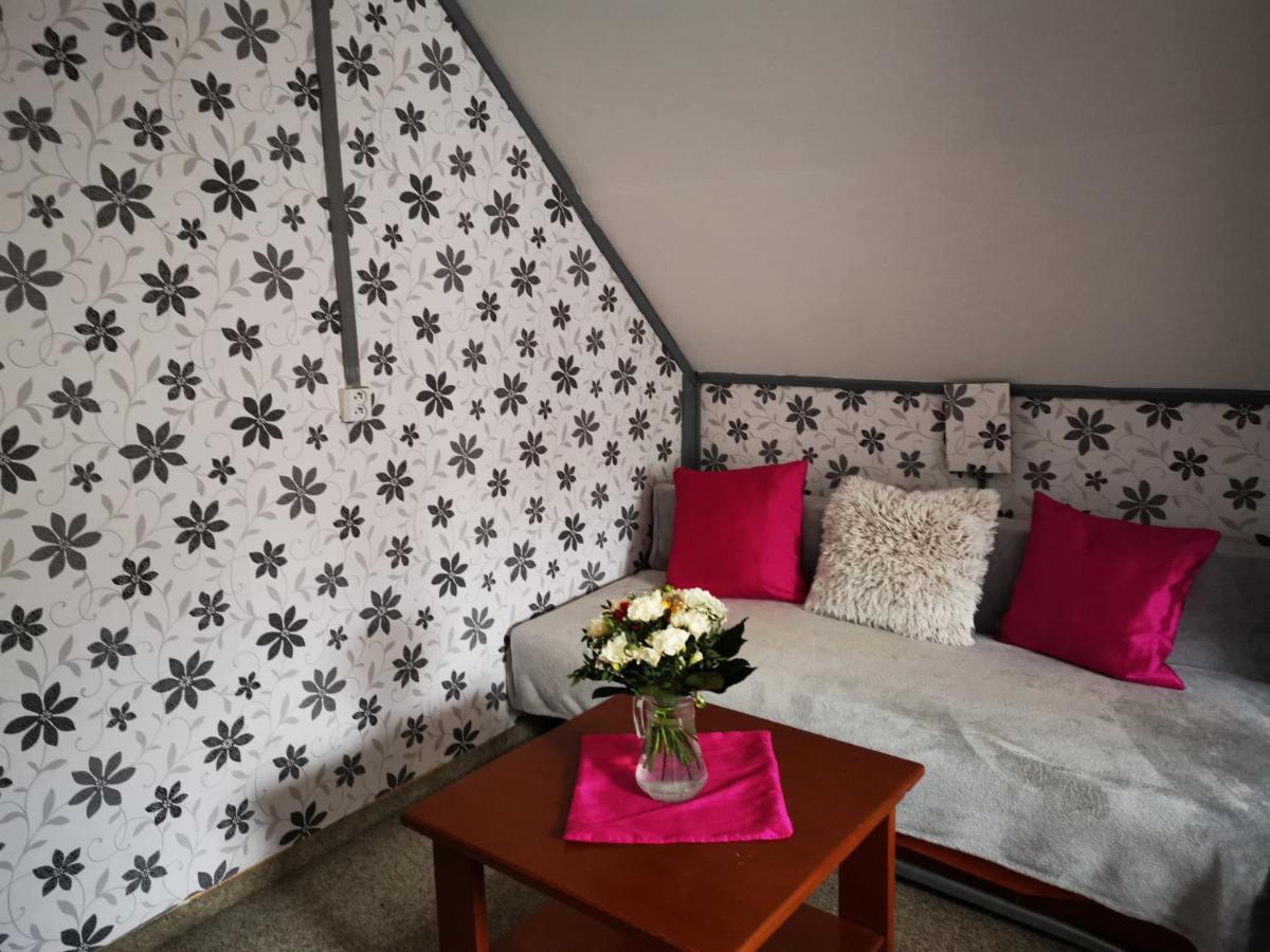 Hotel Penzion Tomy Na Plazi Frymburk Zewnętrze zdjęcie